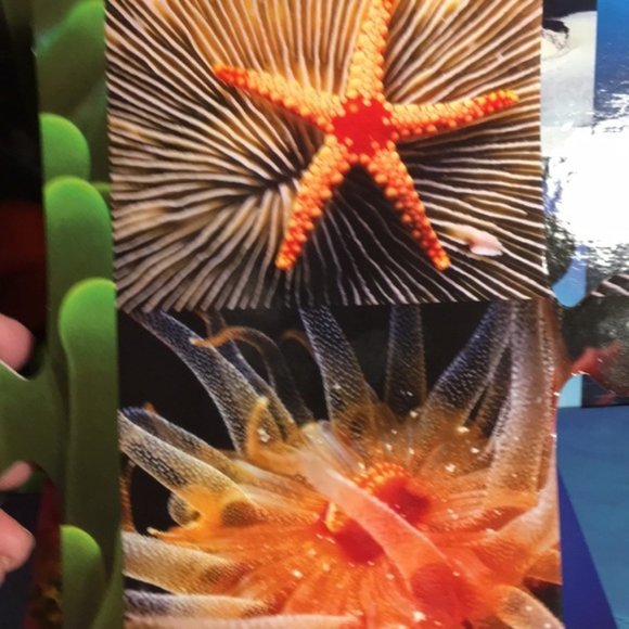 Giant Ocean Creatures Floor Puzzle - 26 Pieces - Interactive Learning - Picture 7 of 9